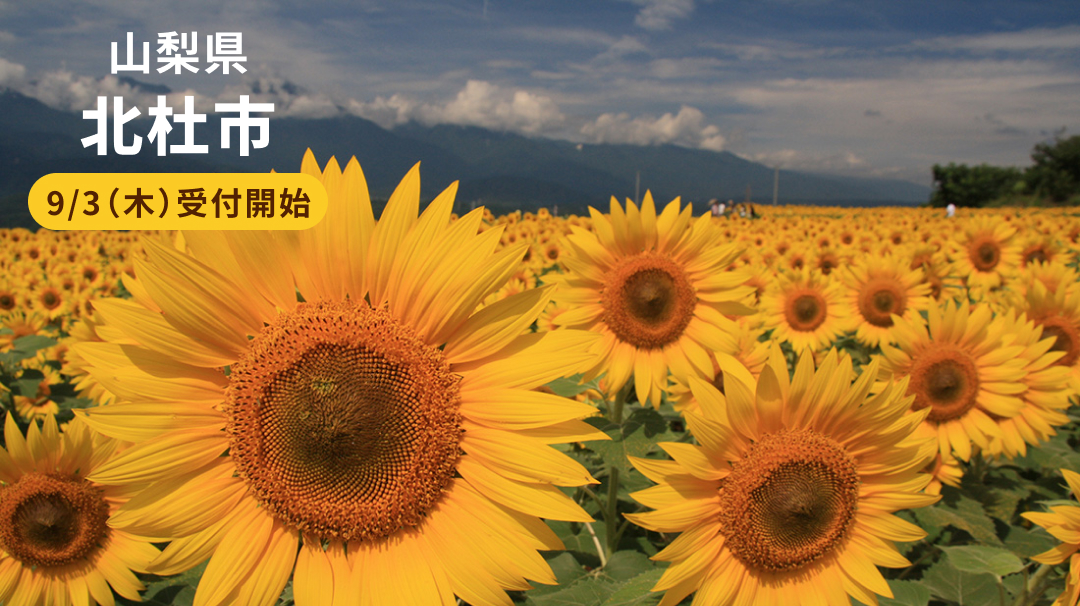 山梨県北杜市
