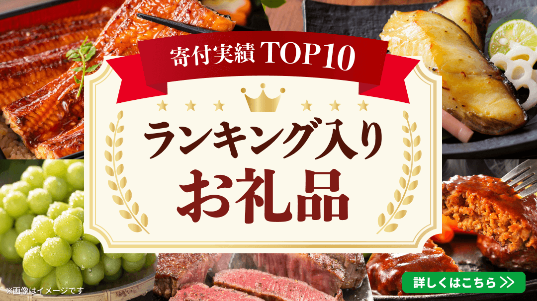 ランキング入りお礼品特集OPEN