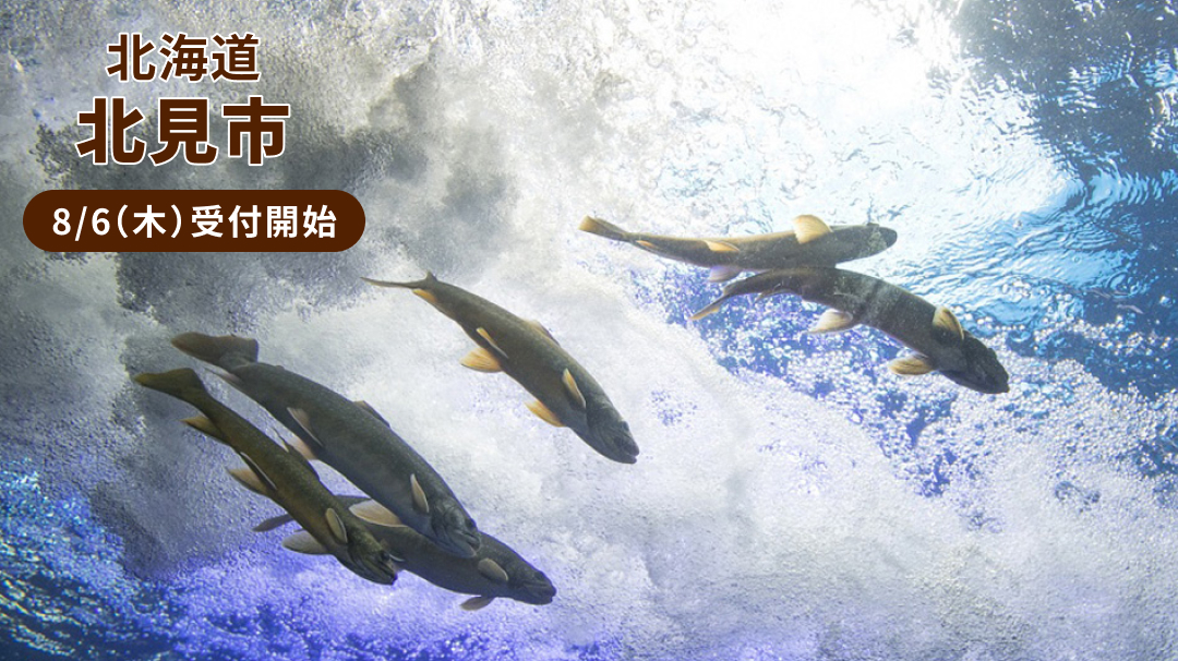 新規自治体　北海道北見市