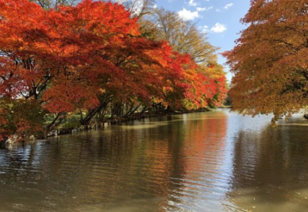 清水公園の紅葉
