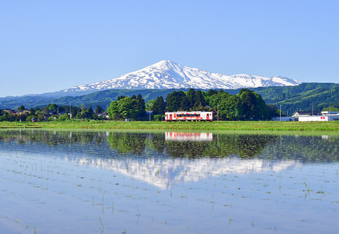 秋田県由利本荘市