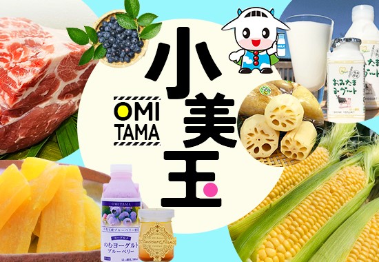 茨城県 小美玉市