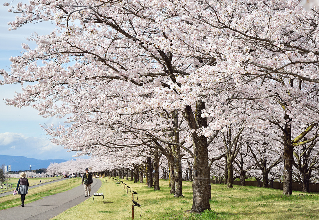 栃木県 さくら市