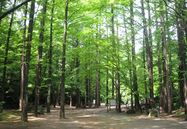 緑と文化が息づく生田緑地