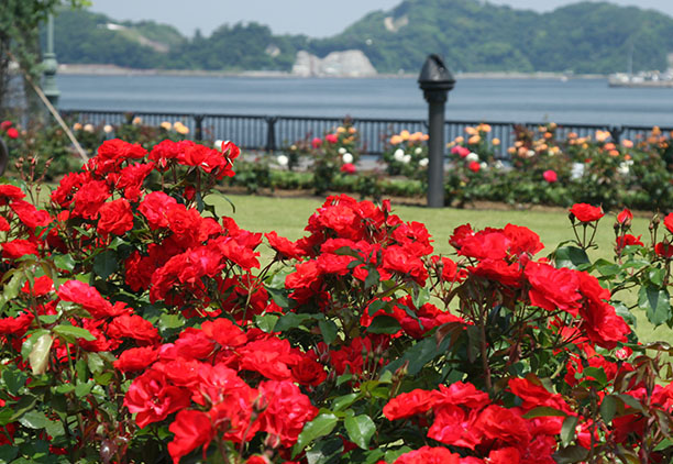 ヴェルニー公園