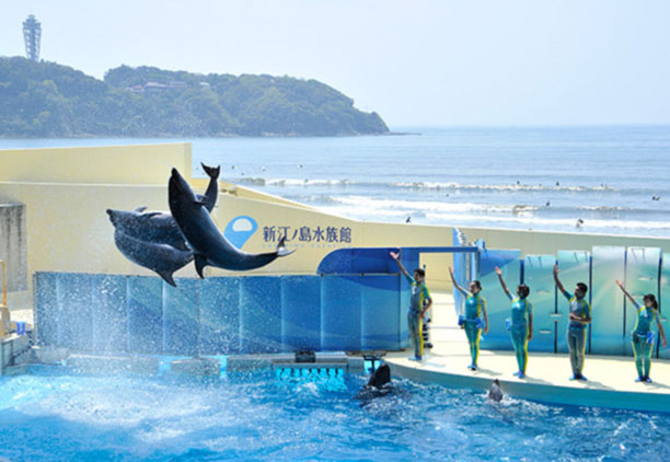 新江ノ島水族館