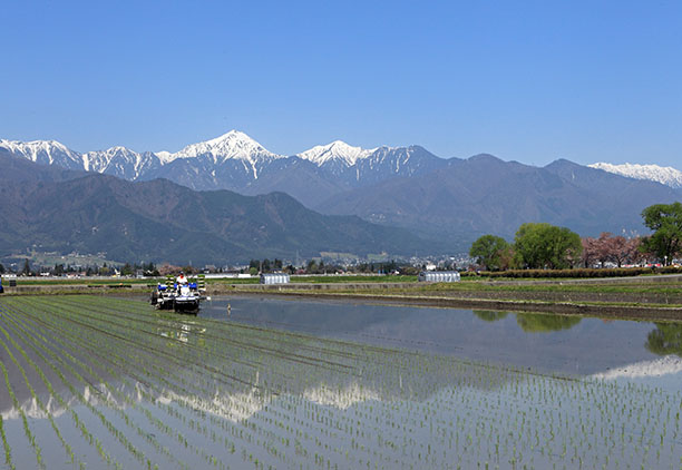 安曇野の田園風景