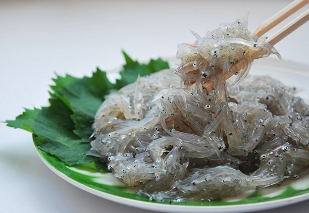 絶品！「田子の浦しらす」