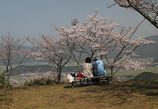 八木城跡