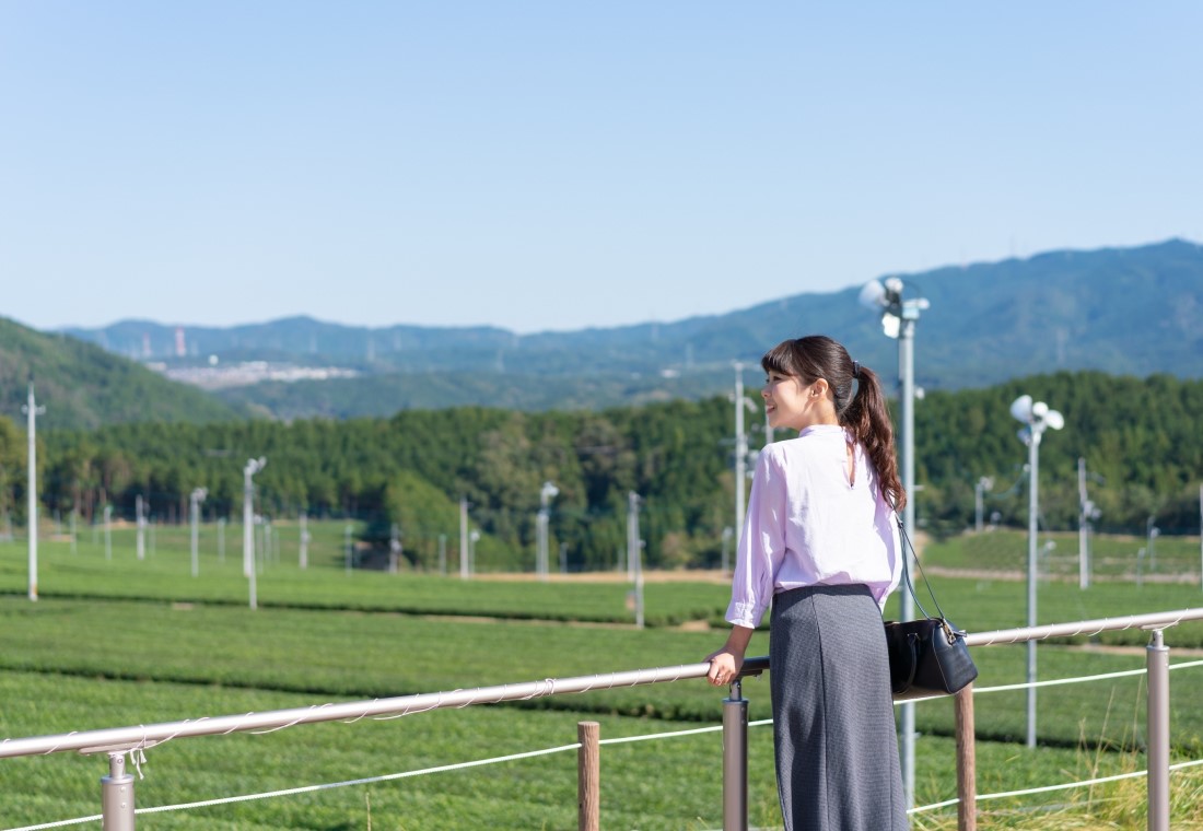 京都府 宇治田原町