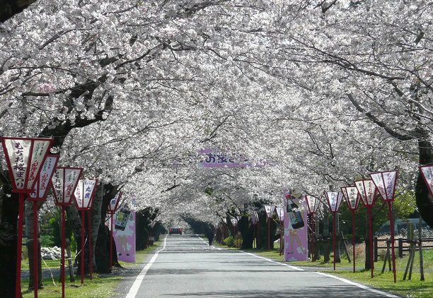 母智丘公園