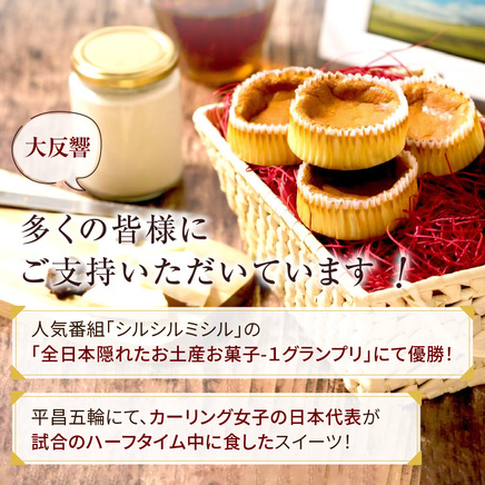 《話題のスイーツ》赤いサイロ 18個【清月】 ( チーズケーキ お菓子 スイーツ 北海道 お土産 お茶菓子 サイロ デザート 人気 小分け 個包装 ふるさと納税 )【008-0005】