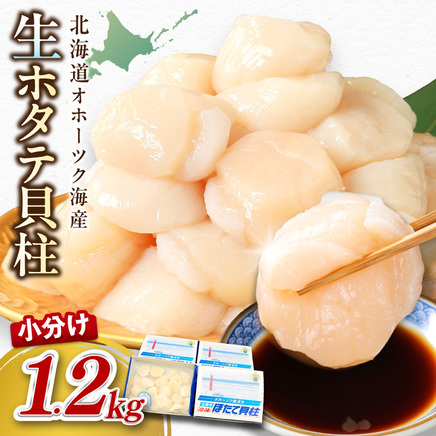 【予約：2026年6月から順次発送】北海道オホーツク海産 ホタテ貝柱 1.2kg 生食用 ( 海鮮 魚介 魚介類 貝 ほたて 刺身 貝柱 海鮮丼 贈答 ギフト 小分け 帆立貝柱 人気 ふるさと納税 ホタテ )【037-0021】