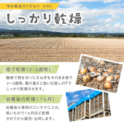 【予約：2026年10月から順次発送】北海道北見産 玉ねぎ 20kg ( 玉ねぎ 野菜 たまねぎ タマネギ 玉葱 甘い 20キロ ハンバーグ 肉じゃが ふるさと納税 玉ねぎ )【002-0011】