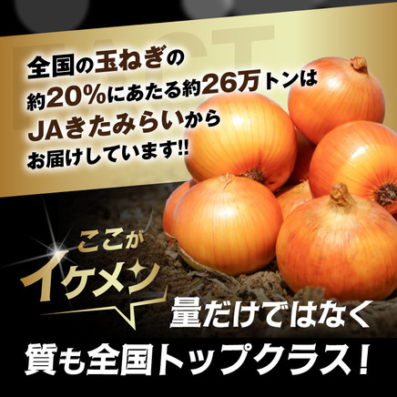 【予約：2026年9月上旬から順次発送】JAきたみらい産 玉ねぎ Lサイズ 20kg ( タマネギ たまねぎ 野菜 )【210-0004-2026】