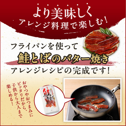 《14営業日以内に発送》北海道産 皮なしソフト鮭とば 170g×3袋 ( 加工品 鮭 サケ さけ しゃけ サーモン 鮭とば セット おつまみ おやつ 肴 皮なし ソフト 柔らかい )【035-0048】