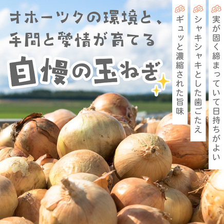 【予約：2026年10月から順次発送】北海道北見産 玉ねぎ 5kg ( 玉ねぎ 野菜 たまねぎ タマネギ 玉葱 甘い ハンバーグ 肉じゃが ふるさと納税 玉ねぎ )【002-0008-2026】