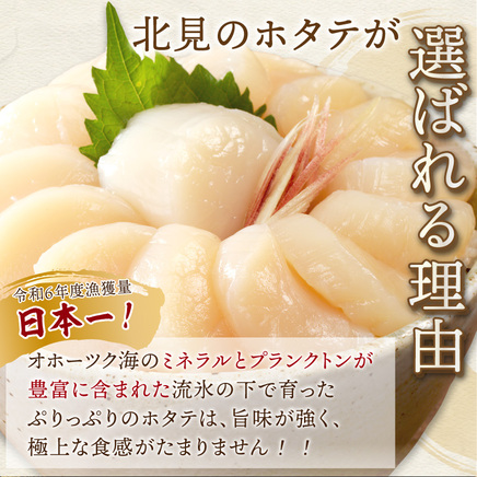 【2026年9月発送】北海道オホーツク海産 ホタテ貝柱 300g 生食用 ( 海鮮 魚介 魚介類 貝 ほたて 刺身 貝柱 海鮮丼 贈答 ギフト 小分け 帆立貝柱 人気 ふるさと納税 ホタテ )【037-0020】