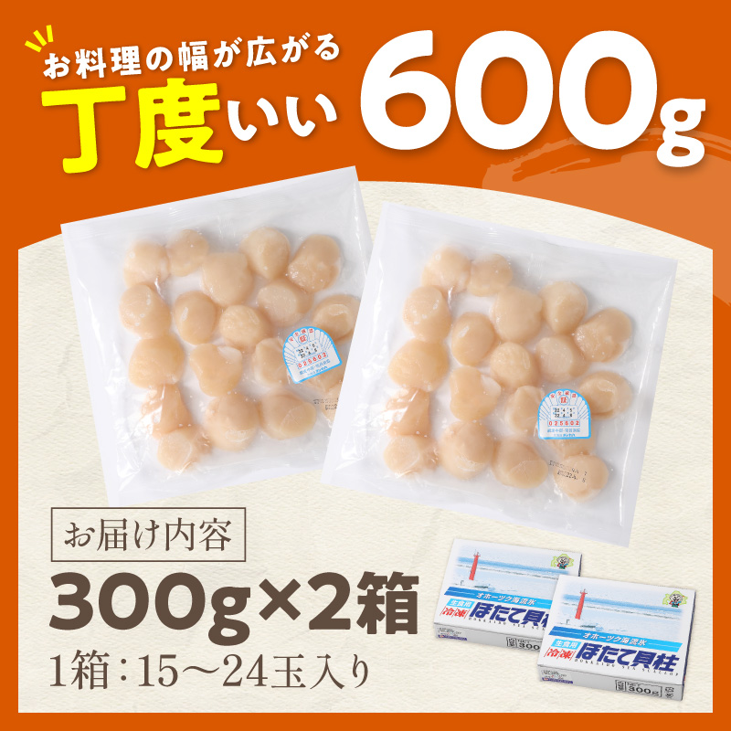 【予約：2026年10月から順次発送】北海道オホーツク海産 ホタテ貝柱 600g 生食用 ( 海鮮 魚介 魚介類 貝 ほたて 刺身 貝柱 海鮮丼 贈答 ギフト 小分け 帆立貝柱 人気 ふるさと納税 ホタテ )【239-0003】