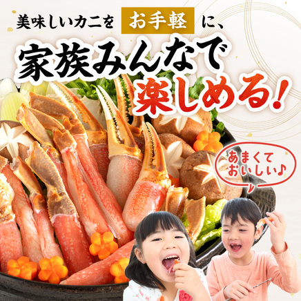 北見市加工 生冷本ズワイガニセット 800g 昆布入 ( 海鮮 魚介類 魚介 蟹 かに カニ セット 鍋 カニ鍋 カニ爪 ズワイガニ かにしゃぶ カット済 贈答 ギフト 熨斗 のし ふるさと納税 )【094-0080】