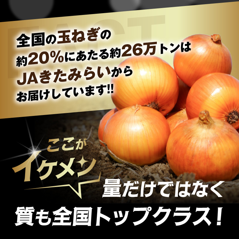 【予約：2027年4月～6月発送】JAきたみらい産 玉ねぎ Lサイズ以上 10kg 冷蔵 ( タマネギ たまねぎ 野菜 )【210-0009】
