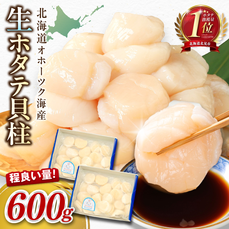 【予約：2026年10月から順次発送】北海道オホーツク海産 ホタテ貝柱 600g 生食用 ( 海鮮 魚介 魚介類 貝 ほたて 刺身 貝柱 海鮮丼 贈答 ギフト 小分け 帆立貝柱 人気 ふるさと納税 ホタテ )【239-0003】