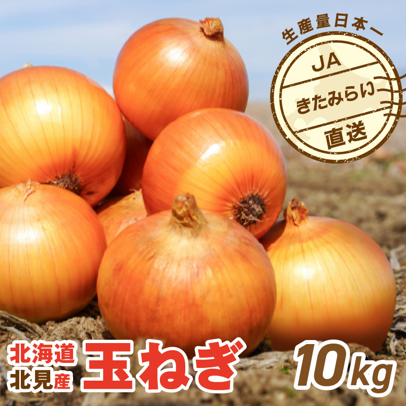 【予約：2027年4月～6月発送】JAきたみらい産 玉ねぎ Lサイズ以上 10kg 冷蔵 ( タマネギ たまねぎ 野菜 )【210-0009】