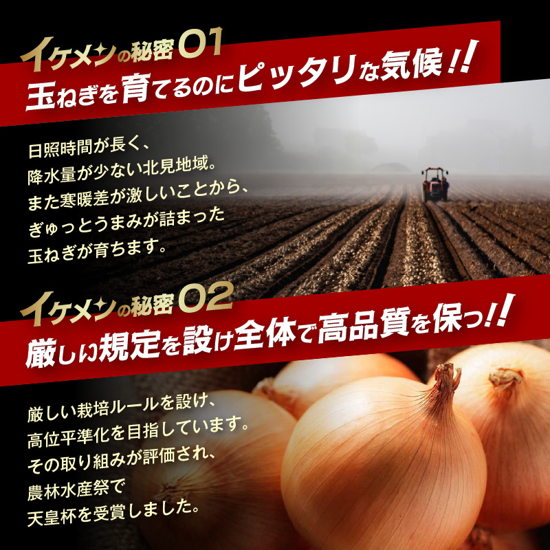 【予約：2027年4月～6月発送】JAきたみらい産 玉ねぎ Lサイズ以上 10kg 冷蔵 ( タマネギ たまねぎ 野菜 )【210-0009】