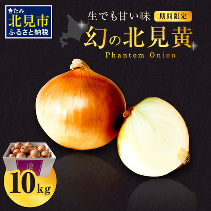 【予約：2026年9月下旬から順次発送】幻の北見黄 北海道北見産 10kg ( 野菜 たまねぎ 玉ねぎ タマネギ Lサイズ 10キロ 詰合せ )【002-0004-2026】