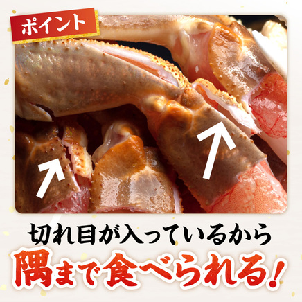 北見市加工 生冷本ズワイガニセット 800g 昆布入 ( 海鮮 魚介類 魚介 蟹 かに カニ セット 鍋 カニ鍋 カニ爪 ズワイガニ かにしゃぶ カット済 贈答 ギフト 熨斗 のし ふるさと納税 )【094-0080】