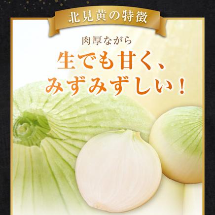 【予約：2026年9月下旬から順次発送】幻の北見黄 北海道北見産 10kg ( 野菜 たまねぎ 玉ねぎ タマネギ Lサイズ 10キロ 詰合せ )【002-0004-2026】