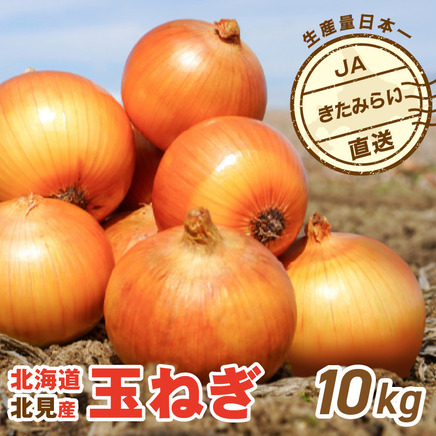 【予約：2026年9月上旬から順次発送】JAきたみらい産 玉ねぎ Lサイズ 10kg ( タマネギ たまねぎ 野菜 )【210-0003-2026】
