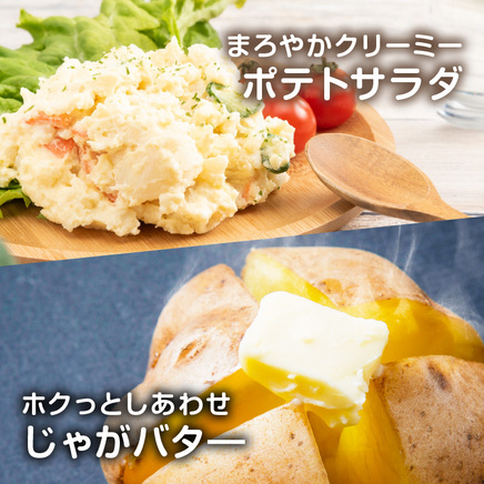 【予約：2026年10月から順次発送】北見市産 たまねぎとじゃがいもセット 約7kg ( 野菜 たまねぎ 玉ねぎ タマネギ 玉葱 ジャガイモ じゃがいも 北海道 セット ふるさと納税 )【002-0007-2026】