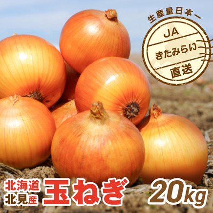【予約：2026年9月上旬から順次発送】JAきたみらい産 玉ねぎ Lサイズ 20kg ( タマネギ たまねぎ 野菜 )【210-0004-2026】