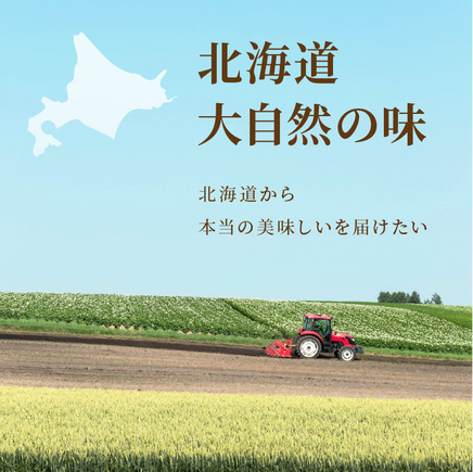 《7営業日以内に発送》大地と海の恵み北海道スープ 4種セット×2袋 計8袋セット ( スープ たまねぎ オニオン じゃがいも じゃがバタ こんぶ ほたて 帆立 野菜 小分け )【125-0116】