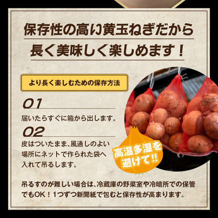 【予約：2026年9月上旬から順次発送】JAきたみらい産 玉ねぎ Lサイズ 20kg ( タマネギ たまねぎ 野菜 )【210-0004-2026】