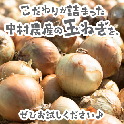 【予約：2026年10月から順次発送】北海道北見産 玉ねぎ 20kg ( 玉ねぎ 野菜 たまねぎ タマネギ 玉葱 甘い 20キロ ハンバーグ 肉じゃが ふるさと納税 玉ねぎ )【002-0011】