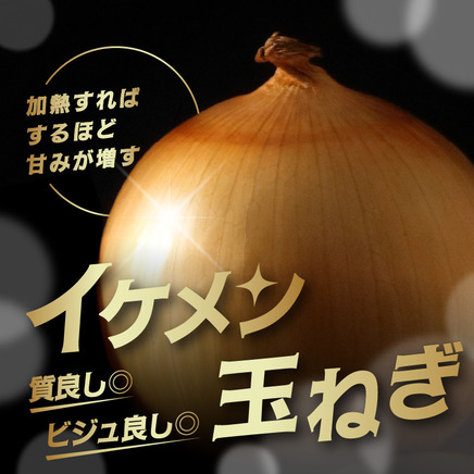 【予約：2026年9月上旬から順次発送】JAきたみらい産 玉ねぎ Lサイズ 10kg ( タマネギ たまねぎ 野菜 )【210-0003-2026】