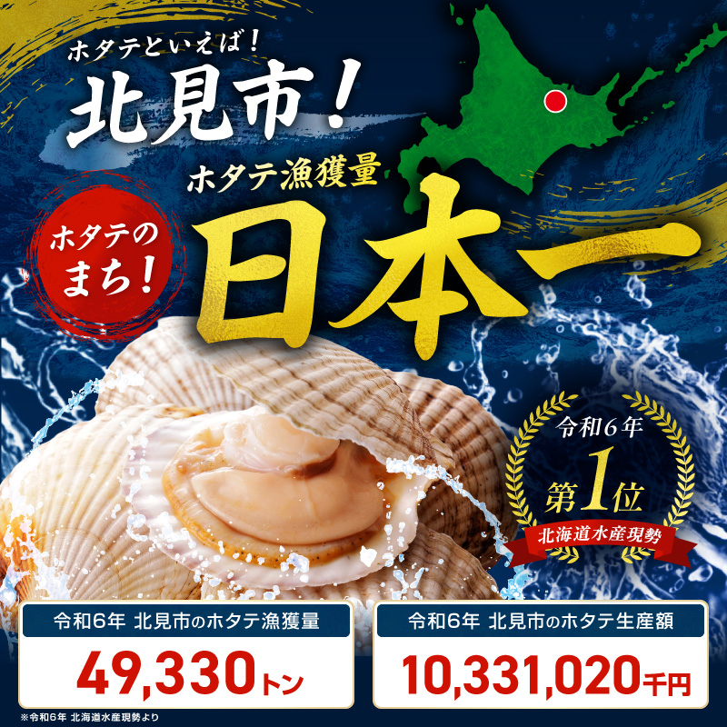 【予約：2026年10月から順次発送】北海道オホーツク海産 ホタテ貝柱 600g 生食用 ( 海鮮 魚介 魚介類 貝 ほたて 刺身 貝柱 海鮮丼 贈答 ギフト 小分け 帆立貝柱 人気 ふるさと納税 ホタテ )【239-0003】