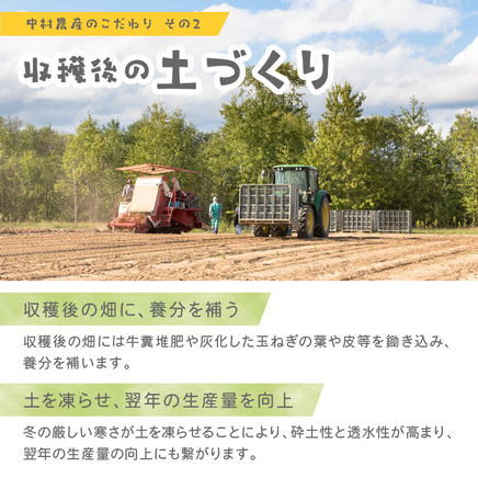 【予約：2026年10月から順次発送】北海道北見産 玉ねぎ 20kg ( 玉ねぎ 野菜 たまねぎ タマネギ 玉葱 甘い 20キロ ハンバーグ 肉じゃが ふるさと納税 玉ねぎ )【002-0011】