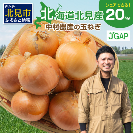 【予約：2026年10月から順次発送】北海道北見産 玉ねぎ 20kg ( 玉ねぎ 野菜 たまねぎ タマネギ 玉葱 甘い 20キロ ハンバーグ 肉じゃが ふるさと納税 玉ねぎ )【002-0011】