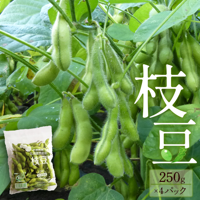 【北海道恵庭市産】枝豆 250g×4パックセット　【31001302】