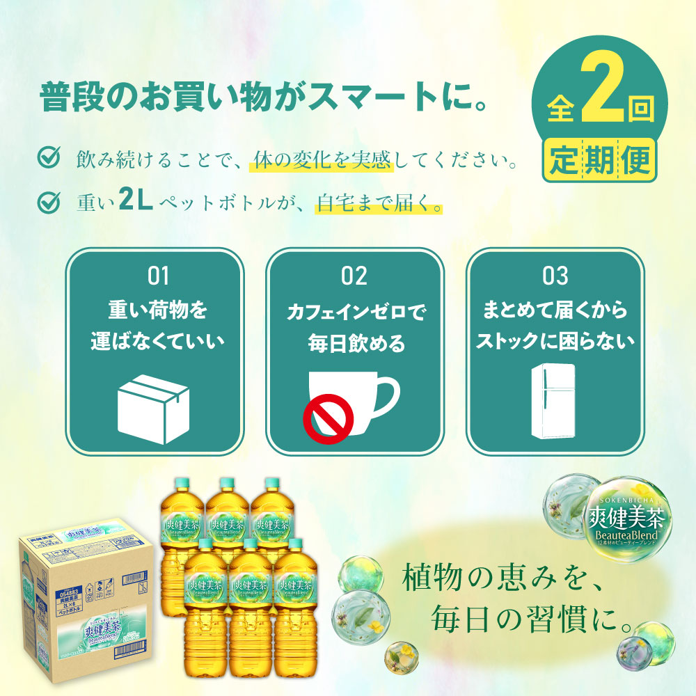 『定期便：全2回』爽健美茶2L×6本【38001902】