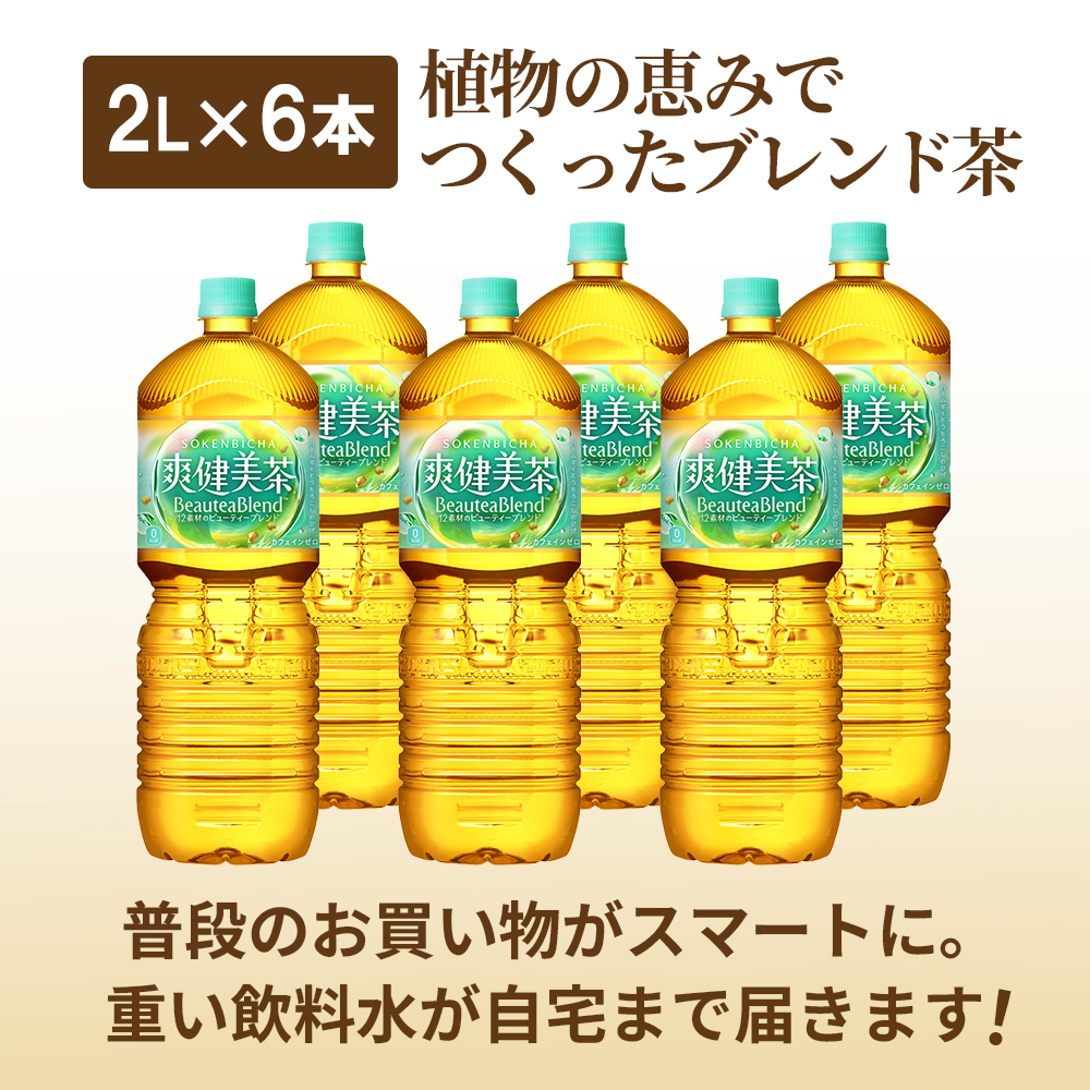 『定期便：全5回』爽健美茶2L×6本【38002102】