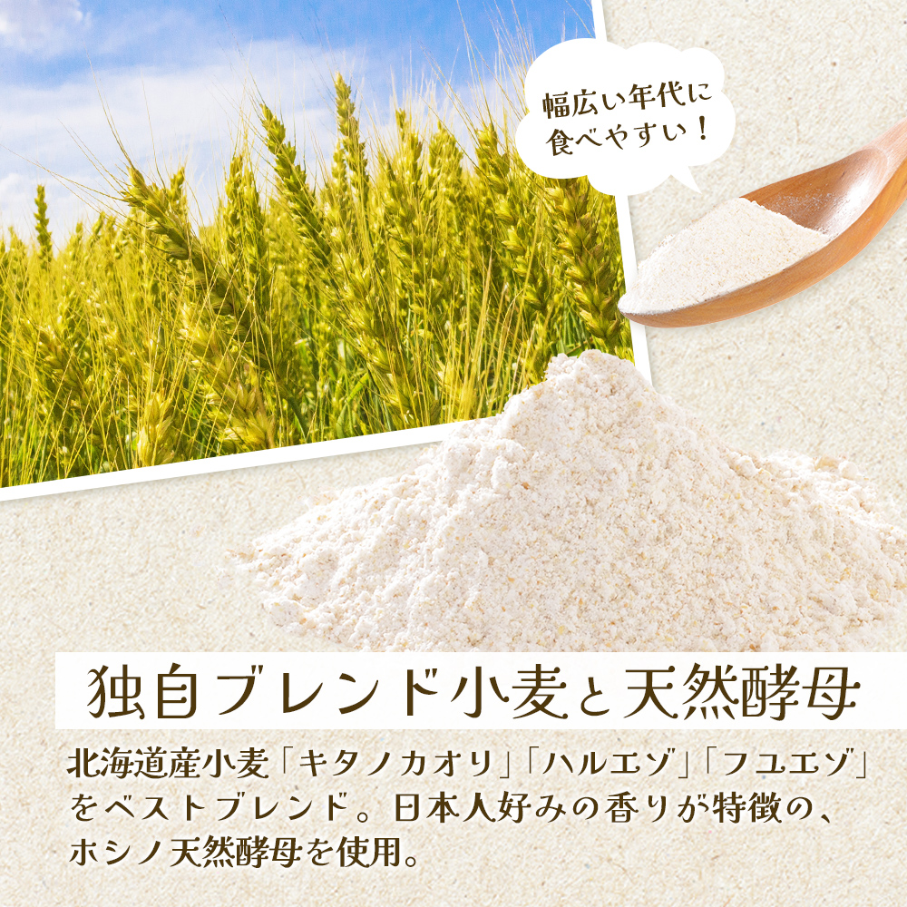 トモヱベーグル 「プレーンベーグル 巴（ともえ）」１０個セット【33000602】