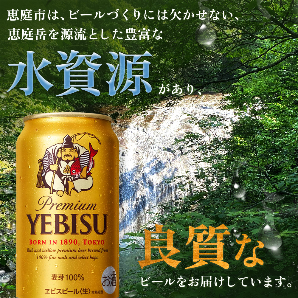 【定期便：全6回】サッポロヱビスビール 350ml×24本【880060021906】