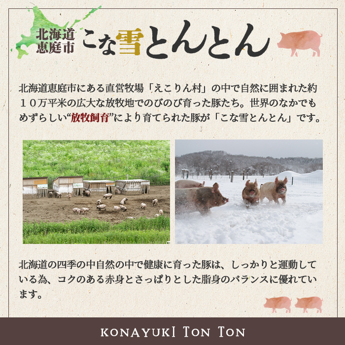 こな雪とんとん　えこりん村ポークカレー　200g×5箱【19006601】