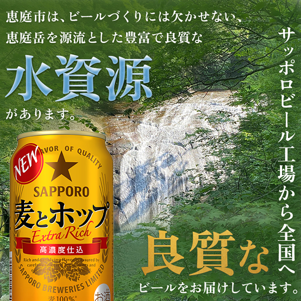 『定期便：全3回』麦とホップ350ml×24本【300110241903】