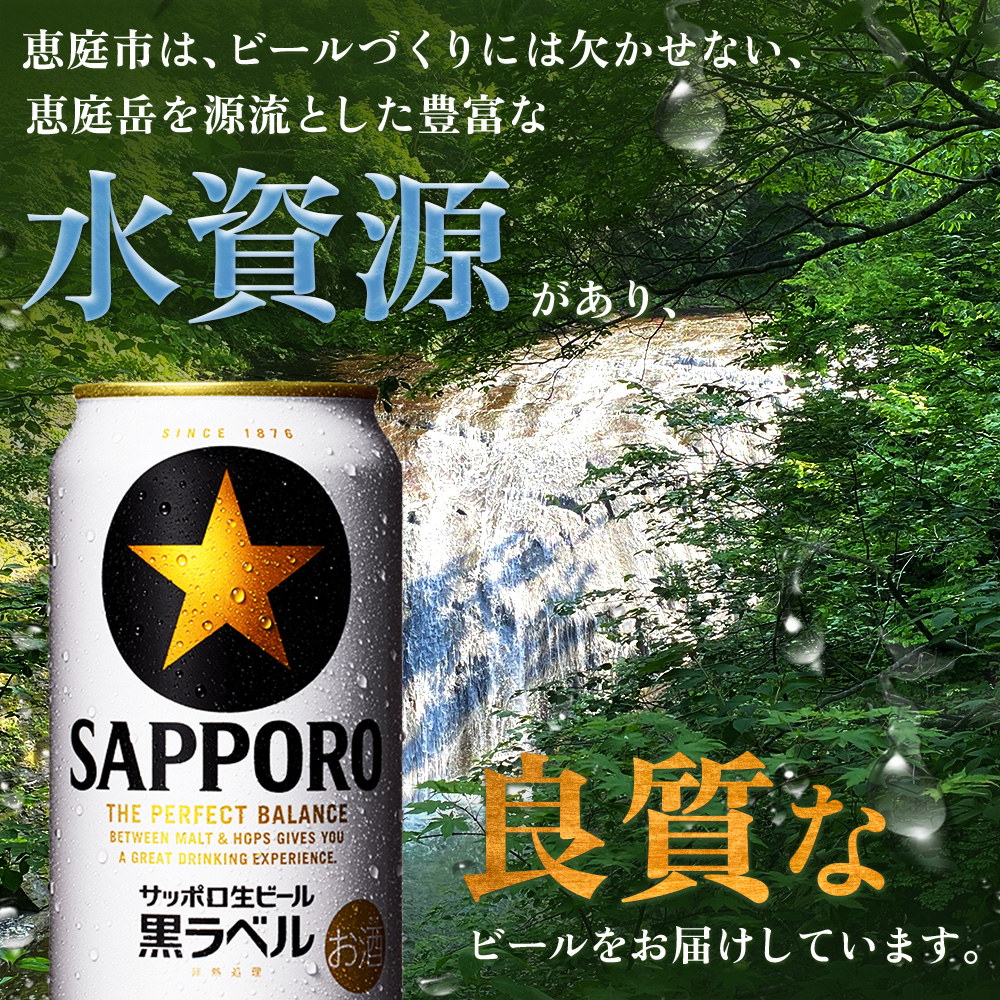 【定期便：全3回】サッポロ黒ラベル 350ml×24本【880040011903】