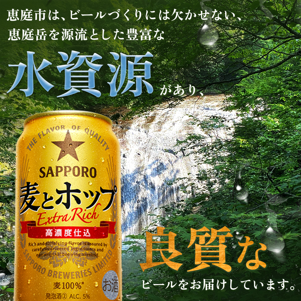 『定期便：全3回』麦とホップ 350ml×24本【880110041903】
